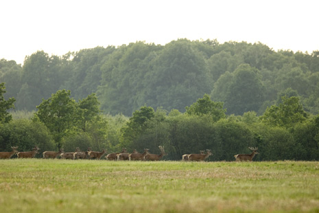 Foto: Jan Paulides