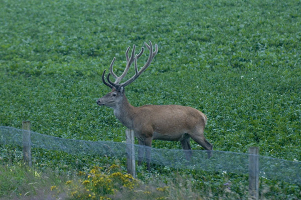 Foto: Jan Paulides