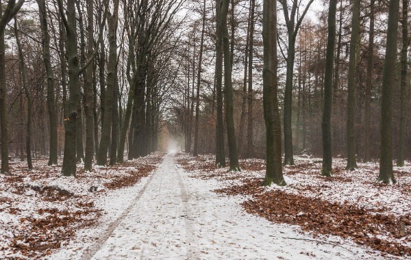 Wintertijd 1 kln